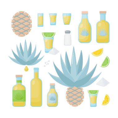 Tekila ve mavi agav vektör düz Icon set