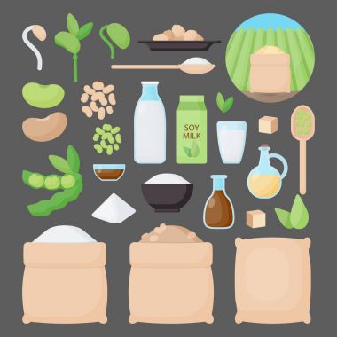 Soya vektör düz Icon set