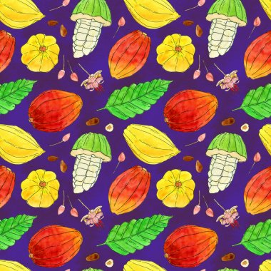 Kakao veya kakao meyve seamless modeli