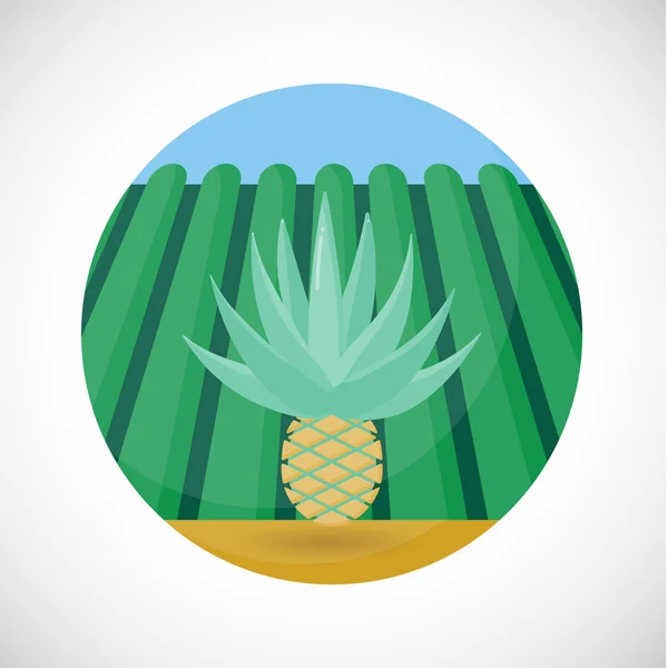 Agave heart flat vector icon farm field background — Stock Vector