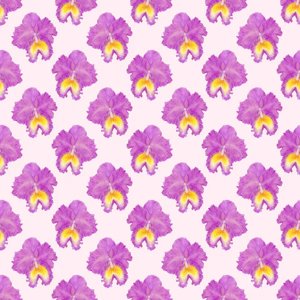 Orchid watercolor seamless pattern — Stock Photo, Image