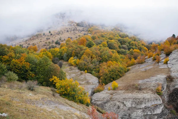 Осень в горах — стоковое фото