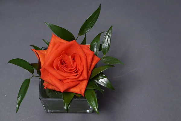 Oranžové růže dekorace Stock Fotografie