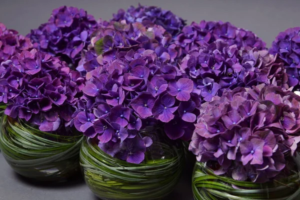 Bloem violet hortensia decoratie Stockfoto