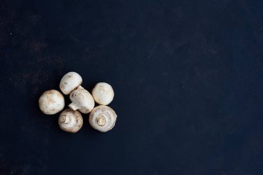 Siyah arka planda şampiyonlar. Koyu bir arka planda bütün mantarlar. Üst Manzara. Metin için boşluk.