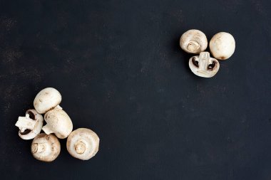 Üst ve alt köşede siyah arka planda şampiyonlar. Siyah bir arka planda tam ve doğranmış mantarlar. Üst Manzara. Metin için boşluk.