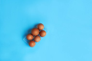 Mavi kutuda izole edilmiş kahverengi tavuk yumurtalarının yukarıdan görünüşü. Taze çiftlik tavuğu yumurtası. Doğal sağlıklı gıda ve organik tarım kavramı. Kopyalama alanı olan üst görünüm.