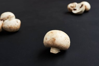 Ön planda bir mantar ve arka planda biraz mantar. Siyah arka planda şampiyonlar. Siyah bir arka planda tam ve doğranmış mantarlar. Üst Manzara. Metin için boşluk.