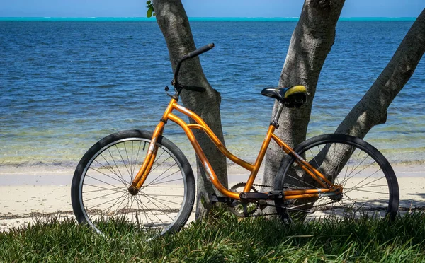 Orange bike on a tree in tropical seascape — Stock Photo, Image