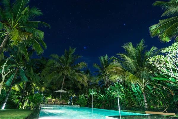 swimming pool with palm trees at night. beautiful sky with stars