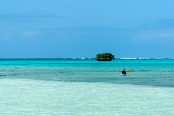 Пара Плавает Каноэ Каяке Тропическом Пляже Пальмами Араукарией Островок Сосны — стоковое фото