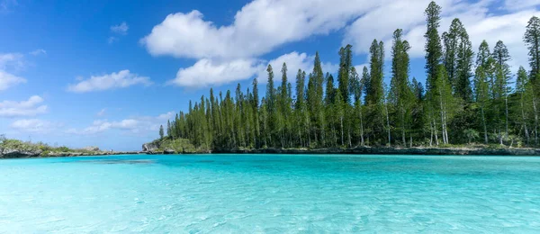 Красивый Природный Бассейн Залива Оро Остров Пайнс Новая Каледония Аквамарин — стоковое фото