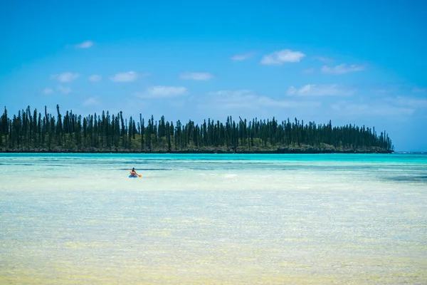 Playa Tropical Con Araucaria Pinos Pareja Canoa Kayak — Foto de Stock