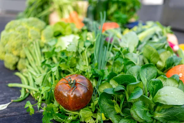 Primer Plano Tomate Rojo Fresco Otras Verduras Jardín Fondo — Foto de Stock