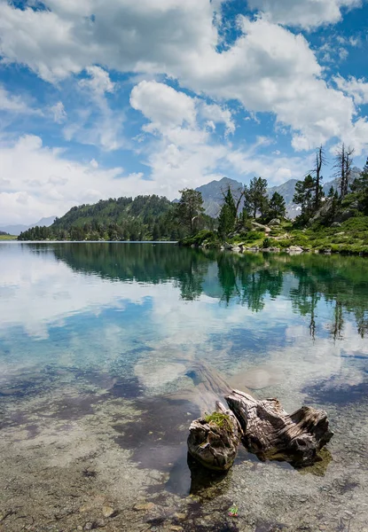 Гірське Озеро Пеньком Передньому Плані Небо Блакитне Хмарне Дерева Відбиваються — стокове фото