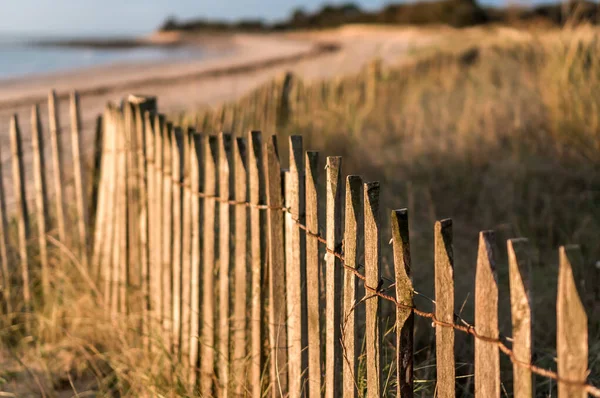 黄金の時間に海の近くの木製の柵 — ストック写真