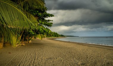 Palmiye ağaçları ve bulutları olan tropik plaj