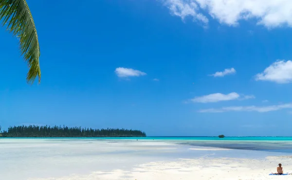 Tropisk Strand Med Palmer Och Hav Havslandskap Tallar Någon Tittar — Stockfoto