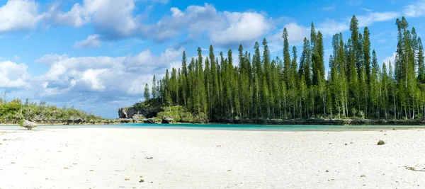 Природний Басейн Нової Каледонії Типовими Відомими Сосен Архіпелазі Білий Пісок — стокове фото