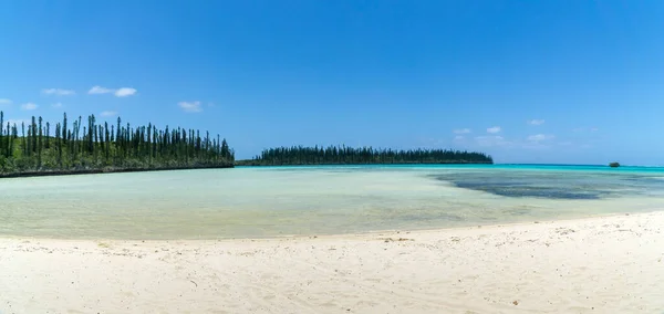 Изумительный Панорамный Морской Пейзаж Острова Сосен Лагуна Бирюзовая Типичный Раукарийский — стоковое фото
