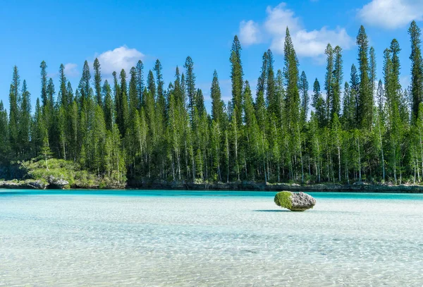 Belle Piscine Naturelle Baie Oro Île Pins Nouvelle Calédonie Ciel — Photo