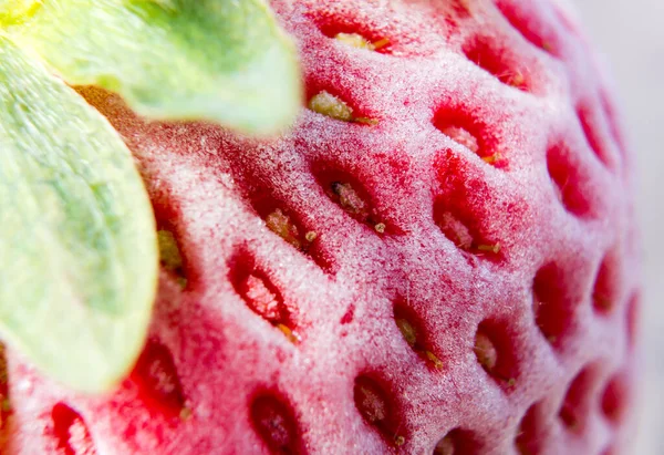 Macrofotografía Una Fresa Fresca Congelada — Foto de Stock