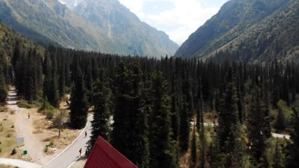 Cute Hotel Mountains Forest σε Ala Archa Εθνικό Πάρκο Κιργιστάν — Αρχείο Βίντεο