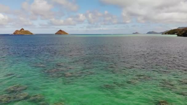 バックラニカイビーチ公園 オアフ島 ハワイ 米国の海岸線と小さな島で重要な澄んだ水とサンゴ礁の4Kドローン映像 — ストック動画