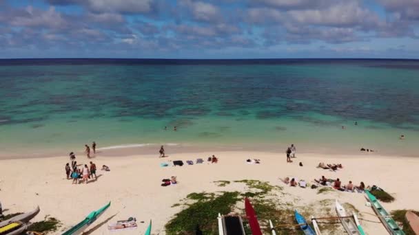 美国夏威夷瓦胡岛拉尼凯海滩公园海岸线的4K无人驾驶飞机拍摄的带有清澈湖水的海滩和珊瑚礁的镜头 — 图库视频影像