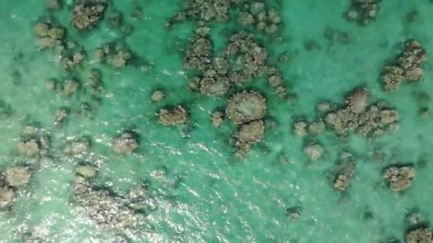 Imágenes Del Dron Zenith Del Arrecife Coral Costa Parque Playa — Vídeo de stock