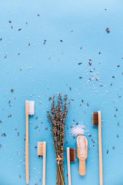 Bambu ahşap diş fırçaları lavanta ve aromaterapi yağlarıyla mavi arka planda izole edilmiş.