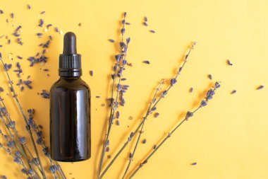 Kurumuş lavanta ile izole edilmiş sarı arka plan modeli üzerine gerekli yağ şişesi