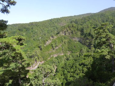 Mavi gökyüzü ile dağın tepesine bakın.