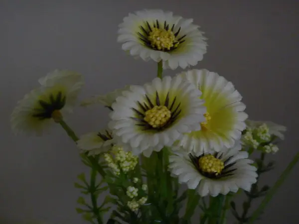 Künstliche Gelbe Blumen Auf Weißem Hintergrund — Stockfoto