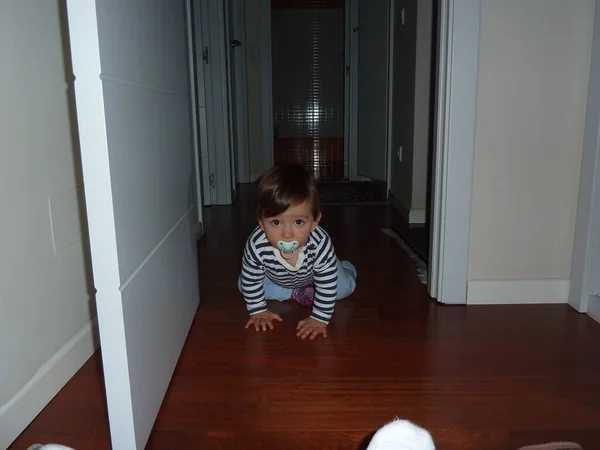 婴儿爬在地板上 — 图库照片