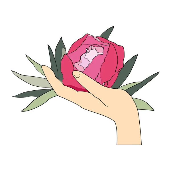 Fleur de pivoine rose dans l'illustration vectorielle du stock à la main — Image vectorielle