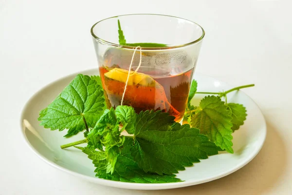 Şeffaf bir fincanda ısırgan otu aşısı