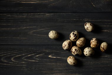Siyah ahşap bir masada bıldırcın yumurtaları. Üst görünüm