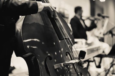 Çello çalan müzisyen eli
