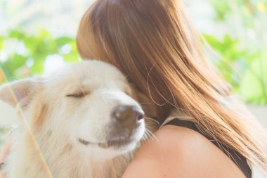 Kadın, köpek dostu hayvanına sarılıyor. Büyük köpeğe, mutluluğa ve arkadaşlığa. evcil hayvan ve kadın.