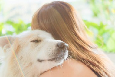 Kadın, köpek dostu hayvanına sarılıyor. Büyük köpeğe, mutluluğa ve arkadaşlığa. evcil hayvan ve kadın.