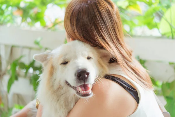 Kadın, köpek dostu hayvanına sarılıyor. Büyük köpeğe, mutluluğa ve arkadaşlığa. evcil hayvan ve kadın.