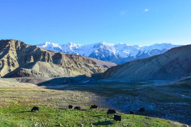 Leh Ladakh 'taki yolda.
