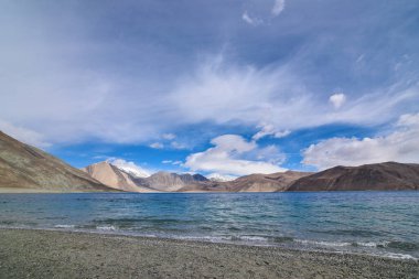 Leh, Ladakh, Hindistan 'daki Pangong Gölü kıyısında..