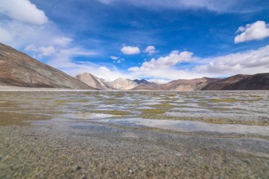 Leh, Ladakh, Hindistan 'daki Pangong Gölü kıyısında..