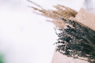 Arka planda cam penceresinde yağmur damlası olan kurumuş çiçekler