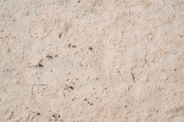 Braune Bodenoberfläche Natürlicher Hintergrund Hautnah — Stockfoto