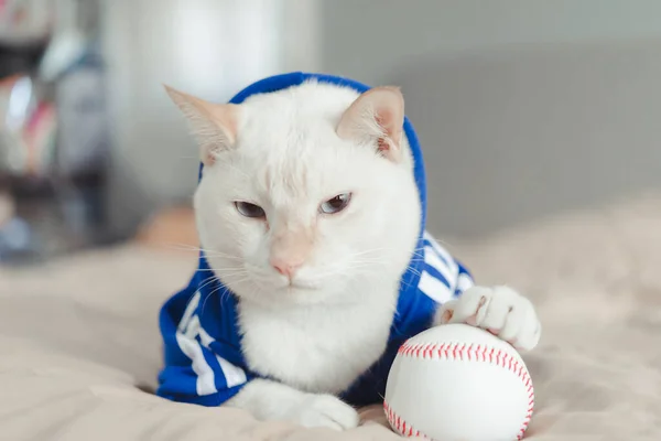 Beyaz kedi yatakta beyzbol topuyla oynuyor.