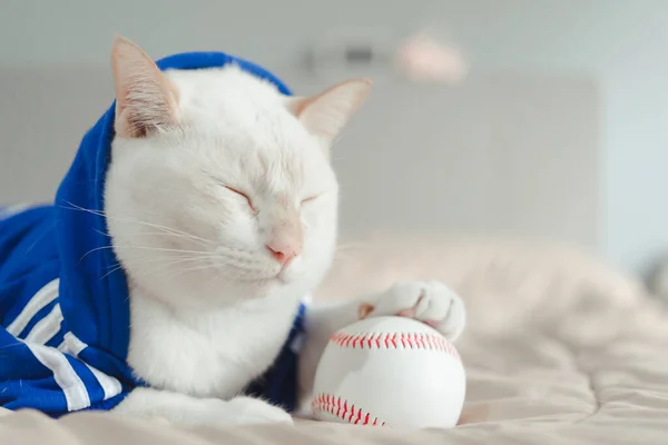Λευκή Γάτα Παίζει Μια Μπάλα Του Μπέιζμπολ Ξαπλωμένη Στο Κρεβάτι — Φωτογραφία Αρχείου