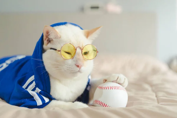 Gato Branco Brincando Com Uma Bola Beisebol Deitada Cama — Fotografia de Stock